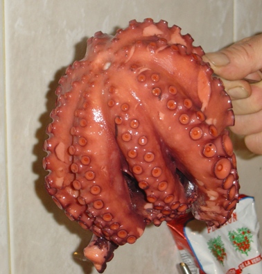 pulpo-entero-520×378.JPG